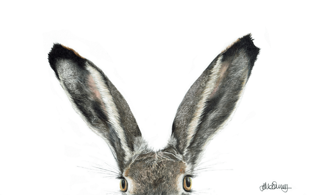 I'm All Ears | Brown Hare | Fine Art Giclée Print