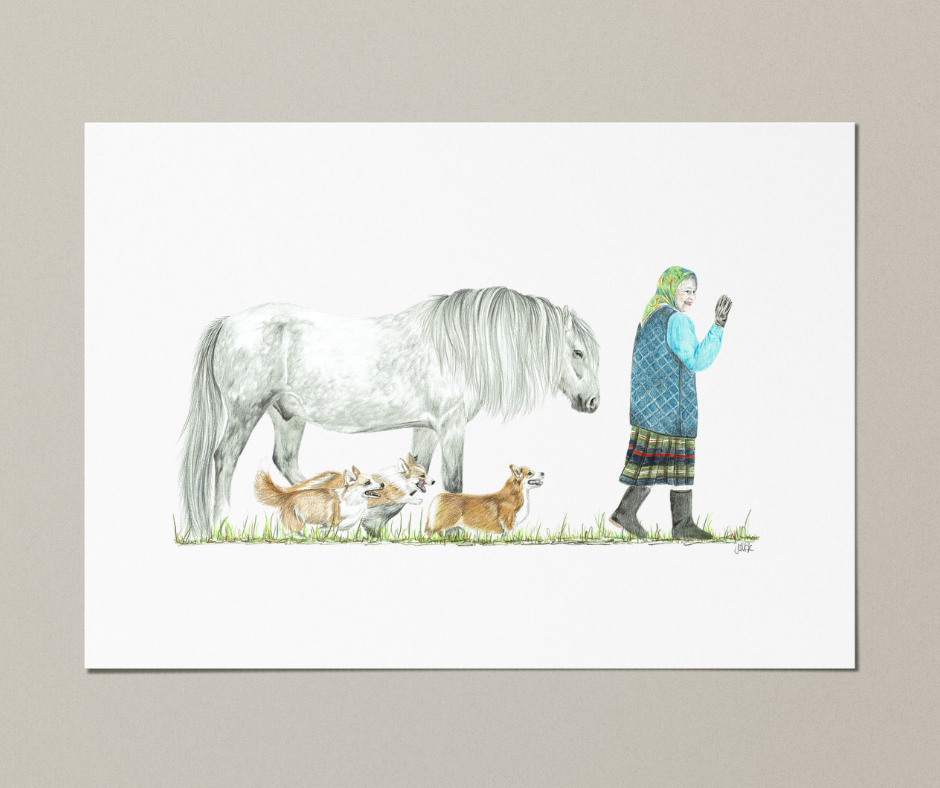 Large A4 Bespoke Illustrations