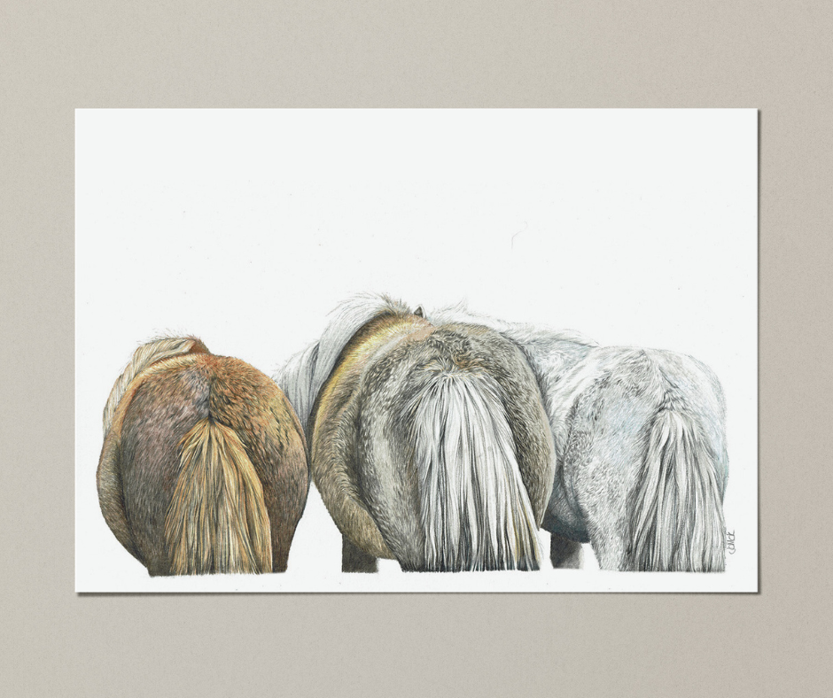 Large A4 Bespoke Illustrations