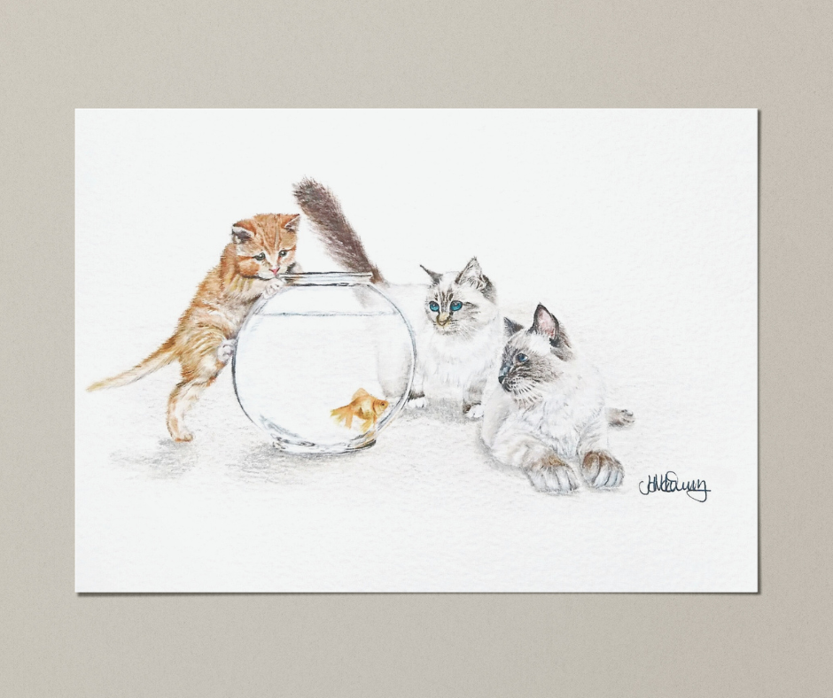 Large A4 Bespoke Illustrations