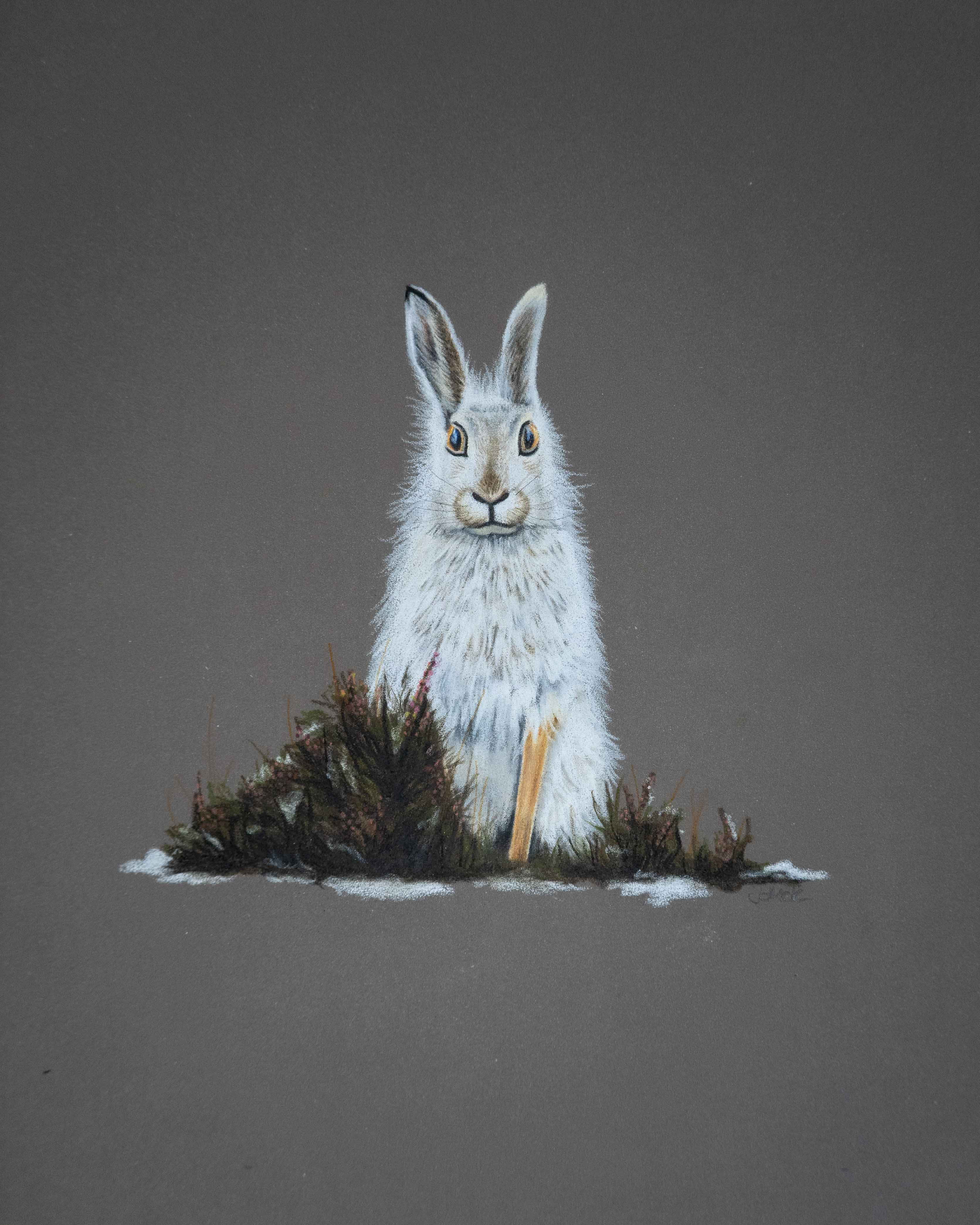 Original Artwork - Eira the Mountain Hare