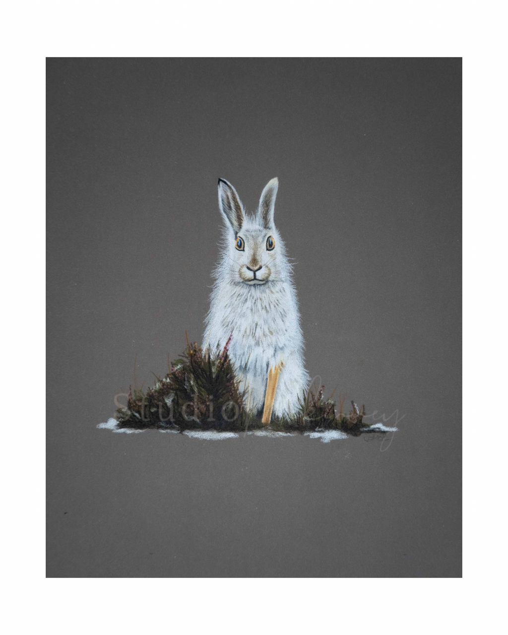 Original Artwork - Eira the Mountain Hare
