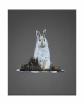 Original Pastel Artwork - Eira the Mountain Hare