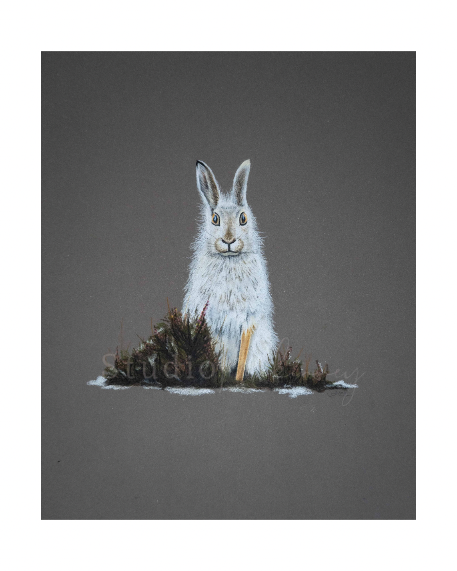 Original Artwork - Eira the Mountain Hare