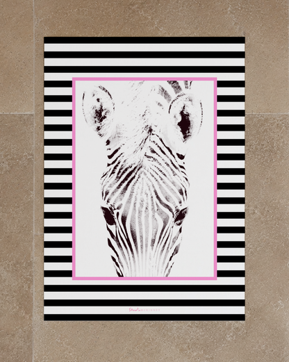 Funky Zebra Prints