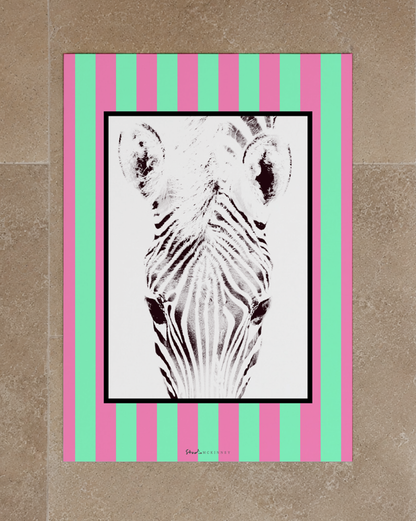 Funky Zebra Prints
