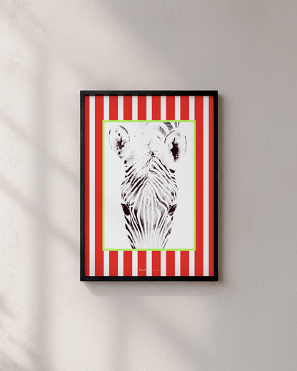 Funky Zebra Prints