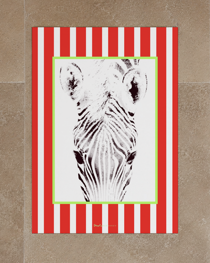 Funky Zebra Prints