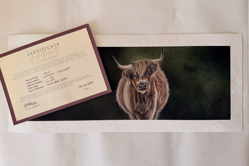 'Polly' Limited Edition Print