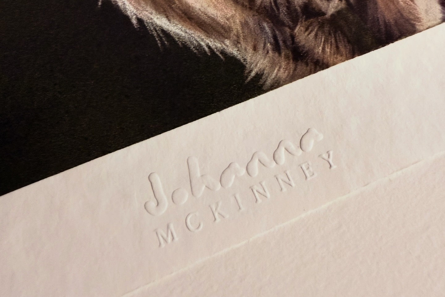 'Polly' Limited Edition Print