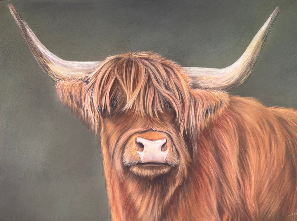 Wallace | Original Pastel Painting of a Highland Cow