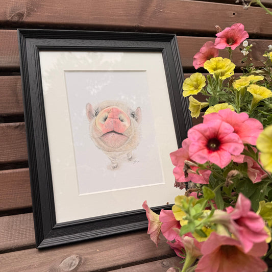 Petunia | Original Framed Artwork