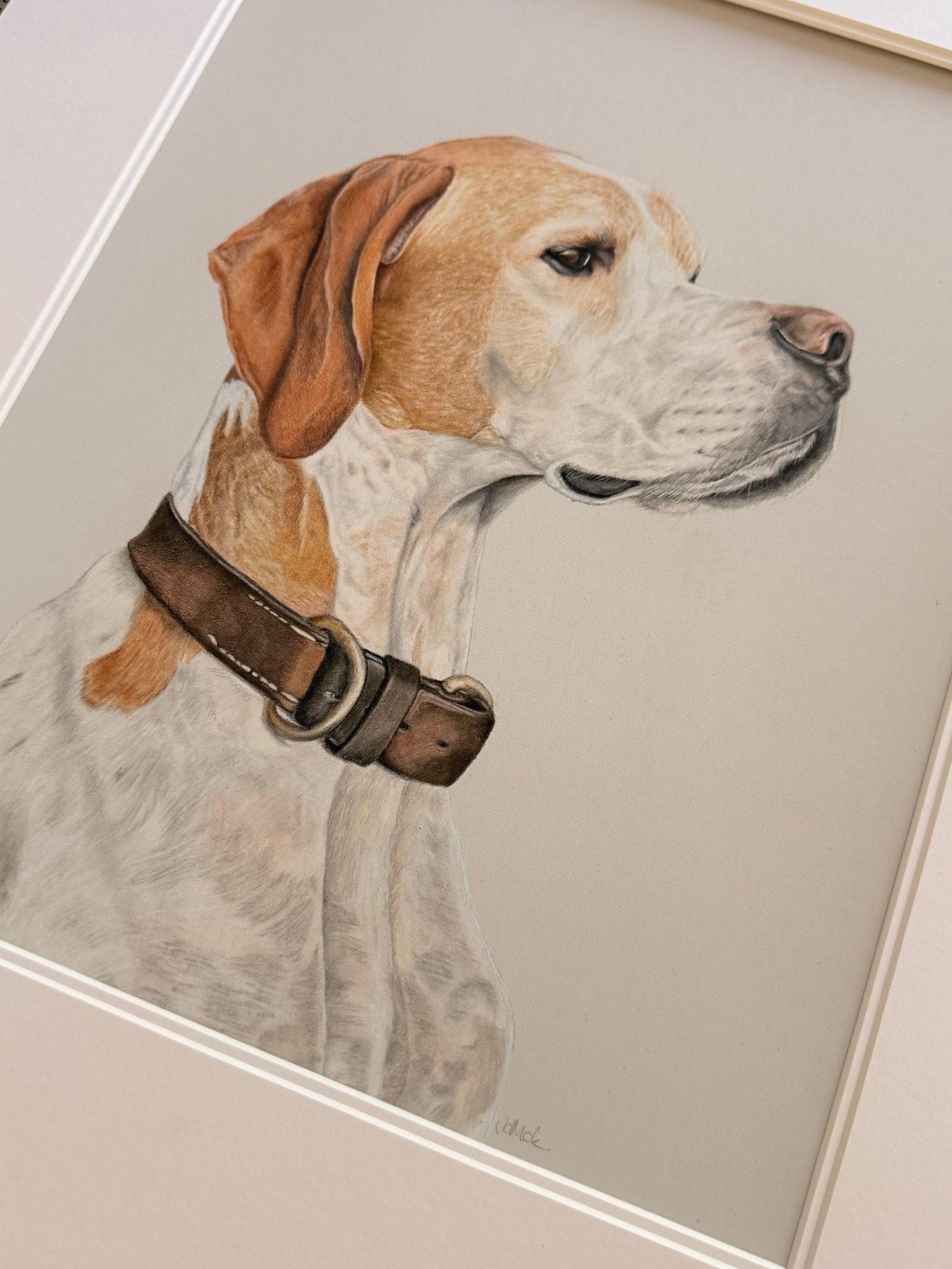 A framed pencil portrait of an English Pointer, white and tan, wearing a brown collar, shown at an angle with a wide white mat border.