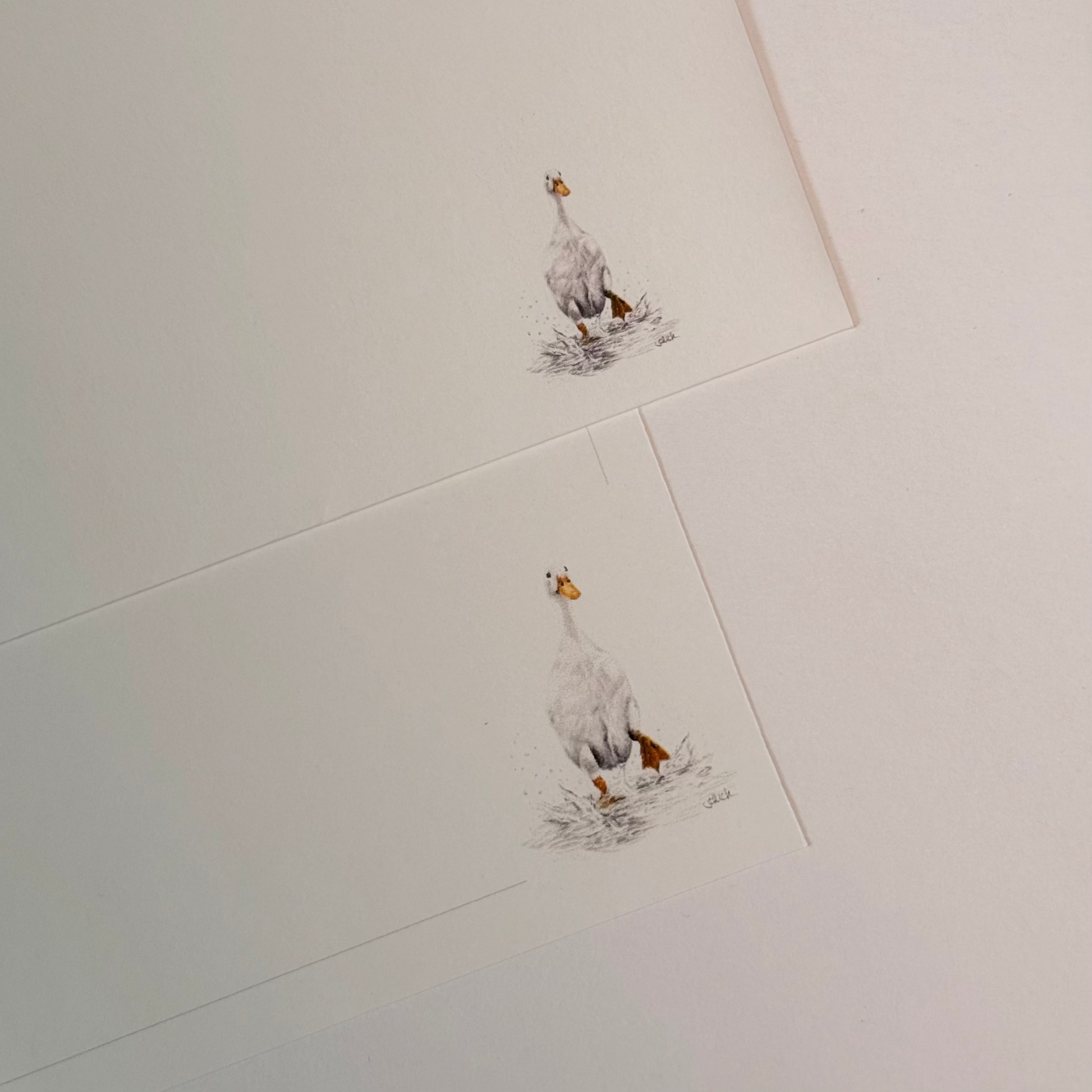 Two white art cards featuring a duck illustration arranged diagonally on a white background.