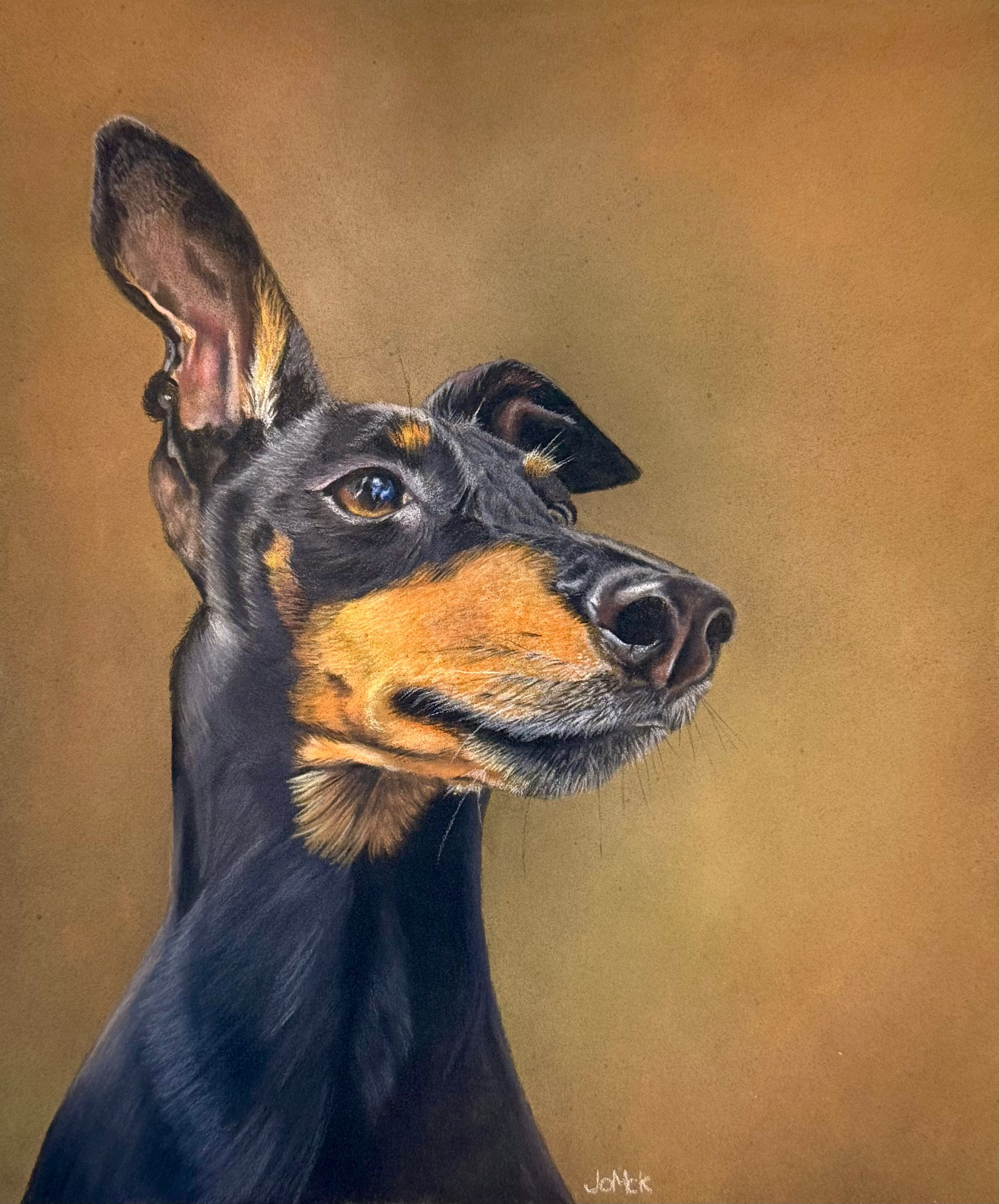 Artistic portrait of a Manchester Terrier with a warm brown background