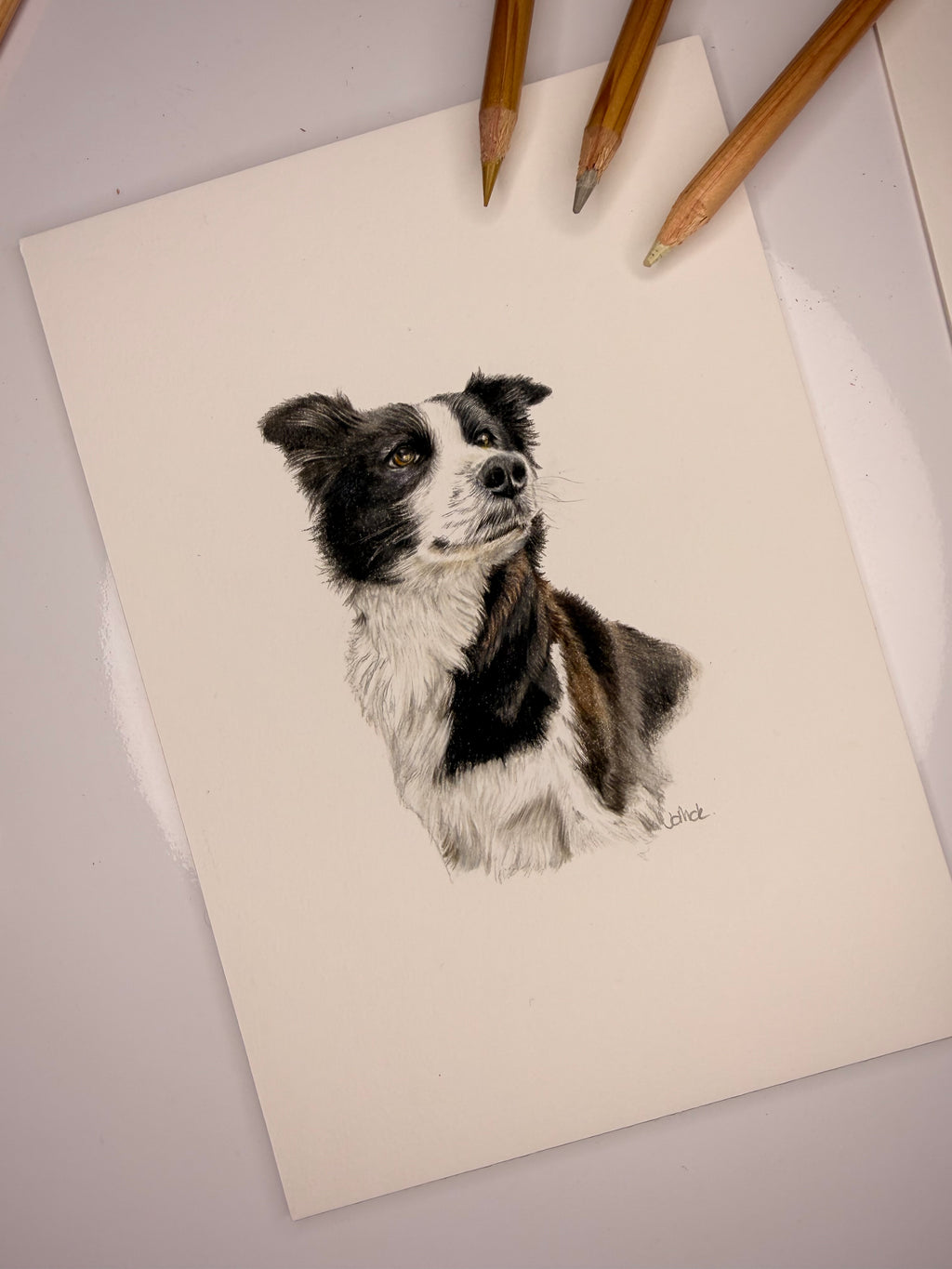 Small Bespoke Illustrations