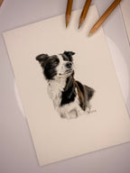 Small Bespoke Illustrations