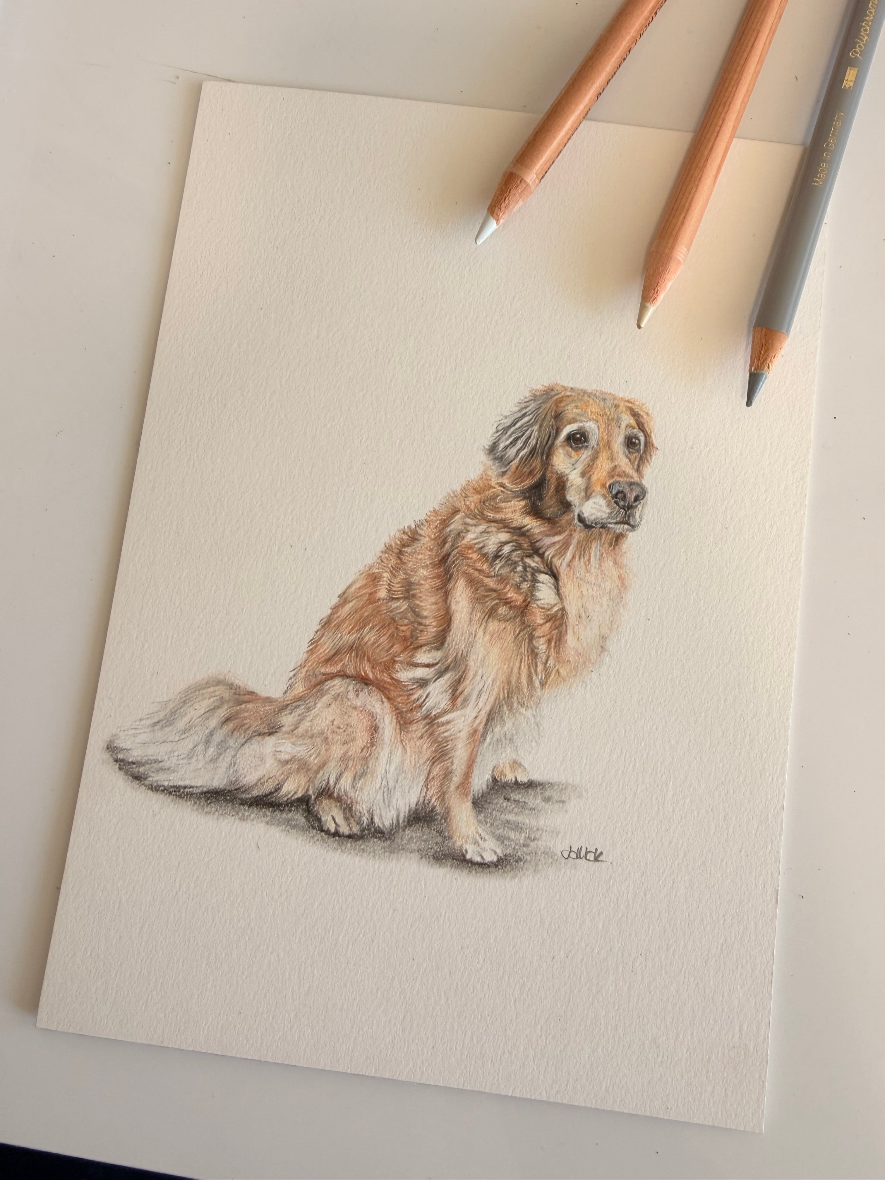 Small Bespoke Illustrations