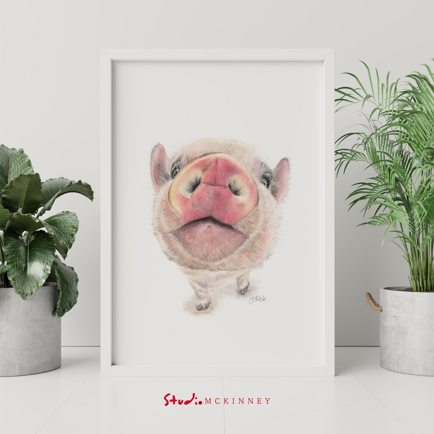 Petunia Piglet Print | Nosey Parker Series