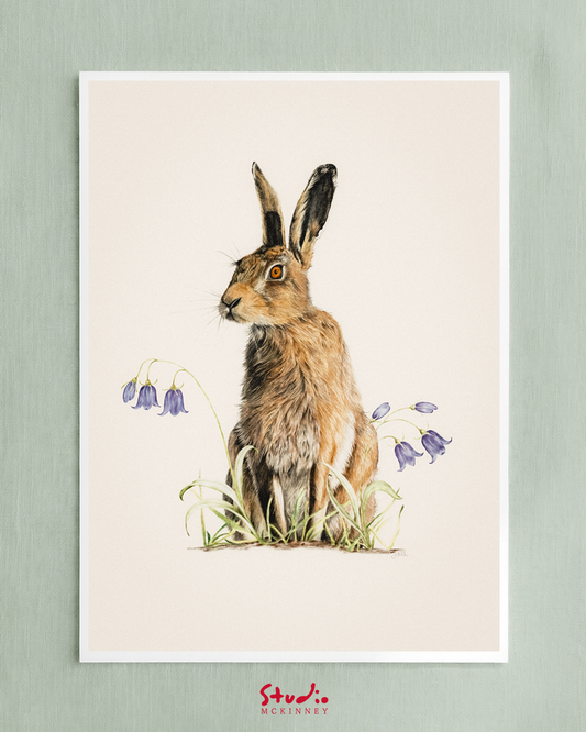Poised | Brown Hare | Fine Art Giclée Print