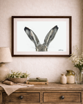 I'm All Ears | Brown Hare | Fine Art Giclée Print