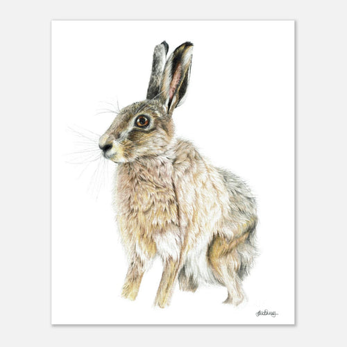 b47db899-88fa-4f85-ad91-91785756a0ca